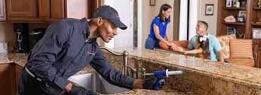 Real Estate Pest Inspections in Hudson, FL